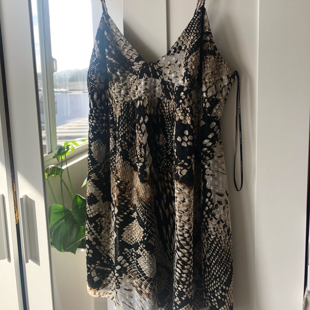 Zara dress